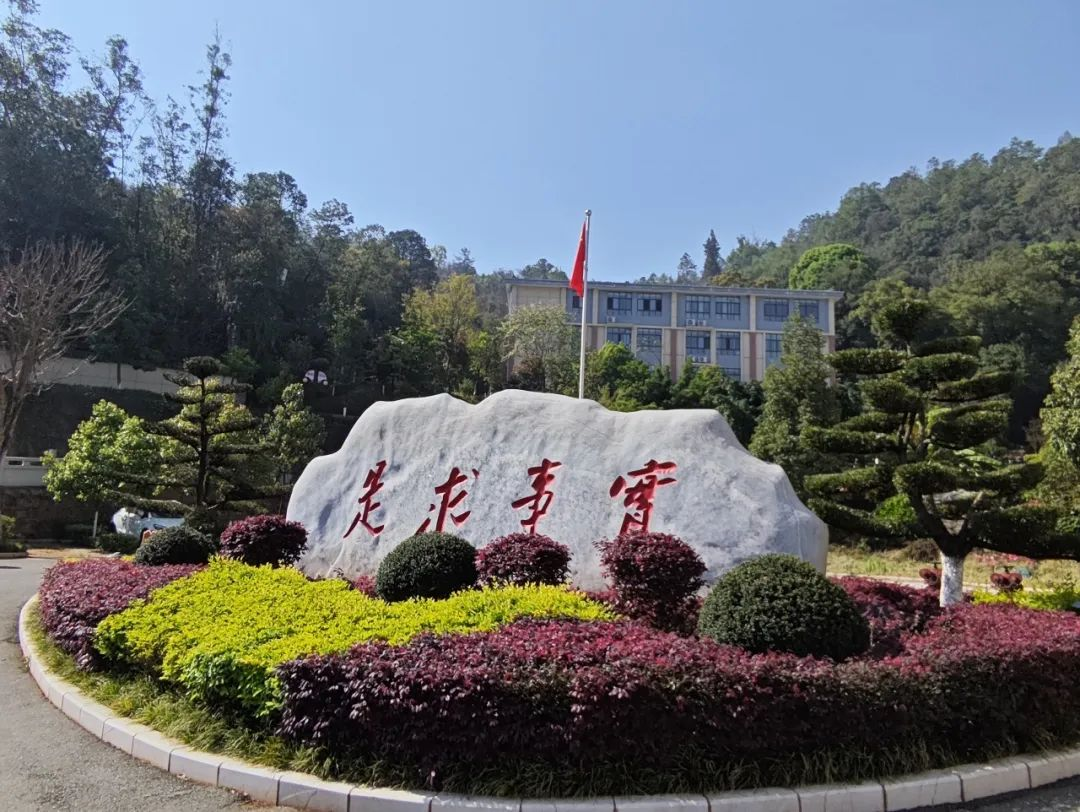 图片3