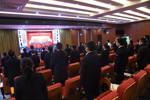 图片23